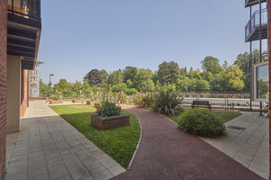 Communal Gardens- click for photo gallery